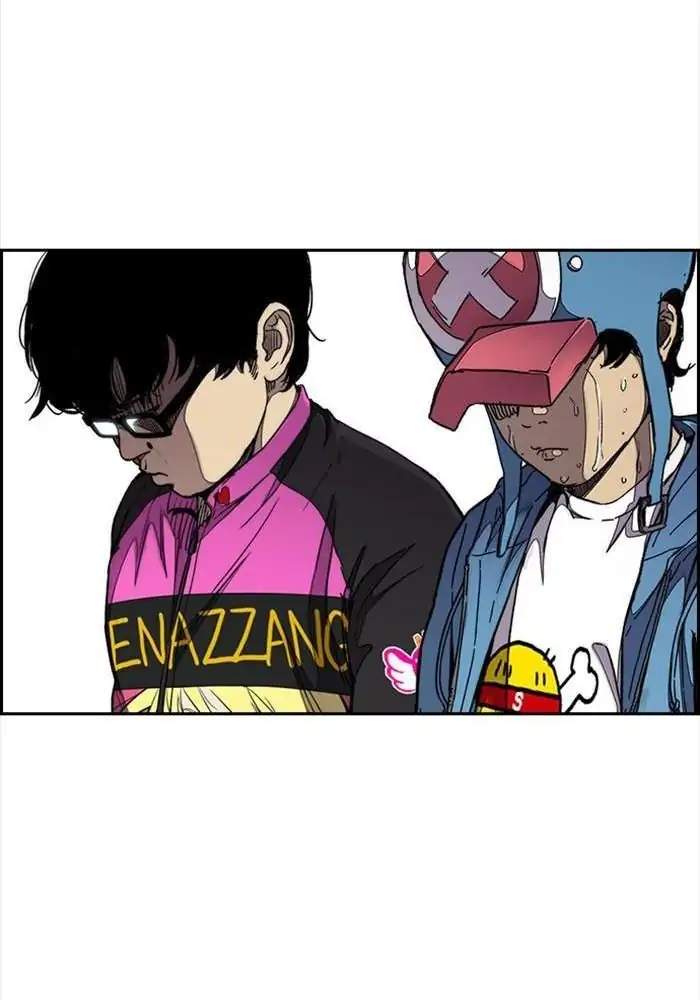 Wind Breaker