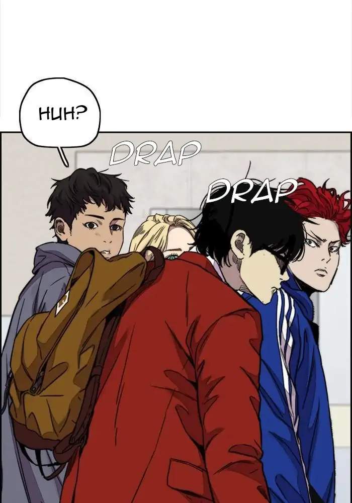 Wind Breaker