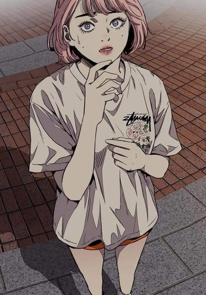 Wind Breaker