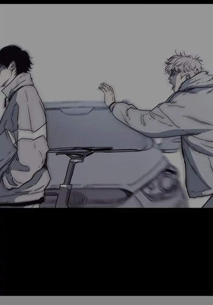 Wind Breaker