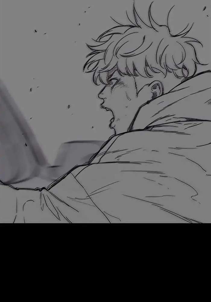 Wind Breaker