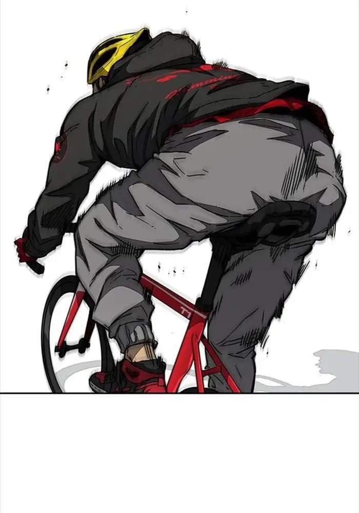 Wind Breaker