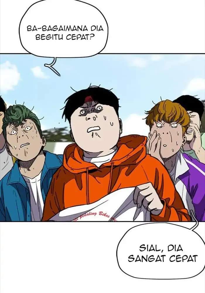 Wind Breaker