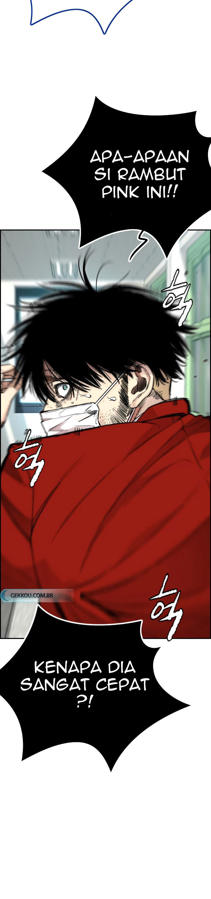 Wind Breaker