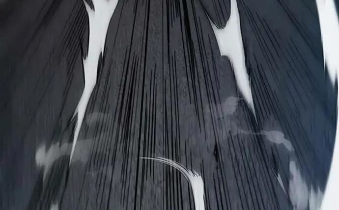 Wind Breaker