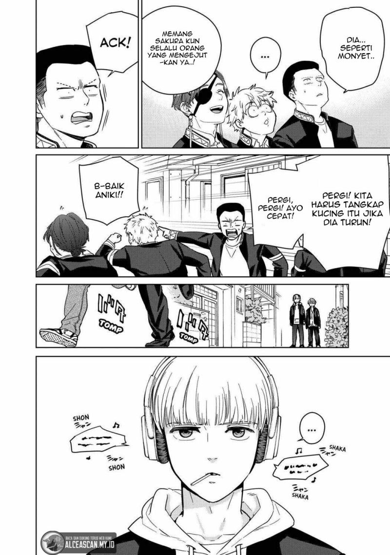 Wind Breaker (NII Satoru)
