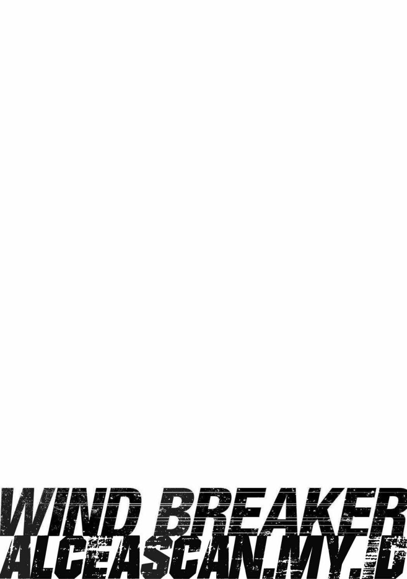 Wind Breaker (NII Satoru)