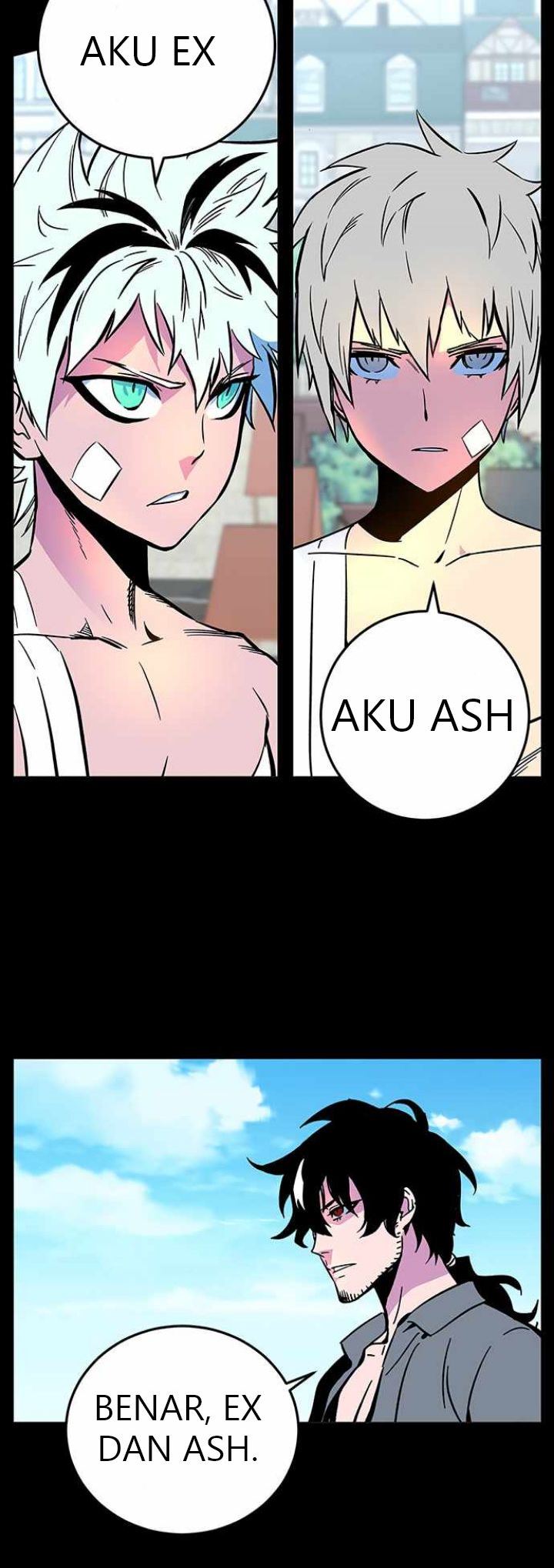 X Ash