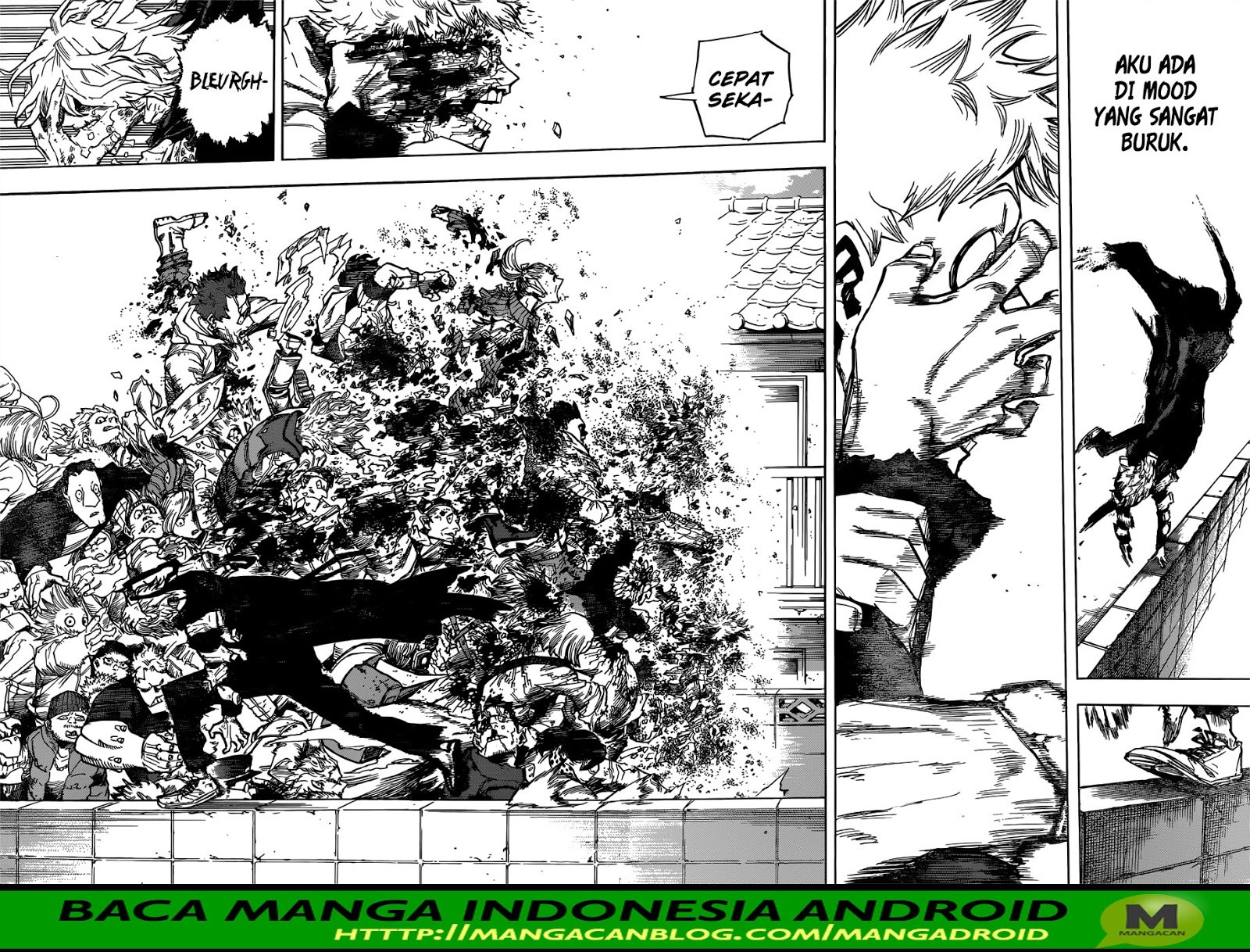 Boku no Hero Academia
