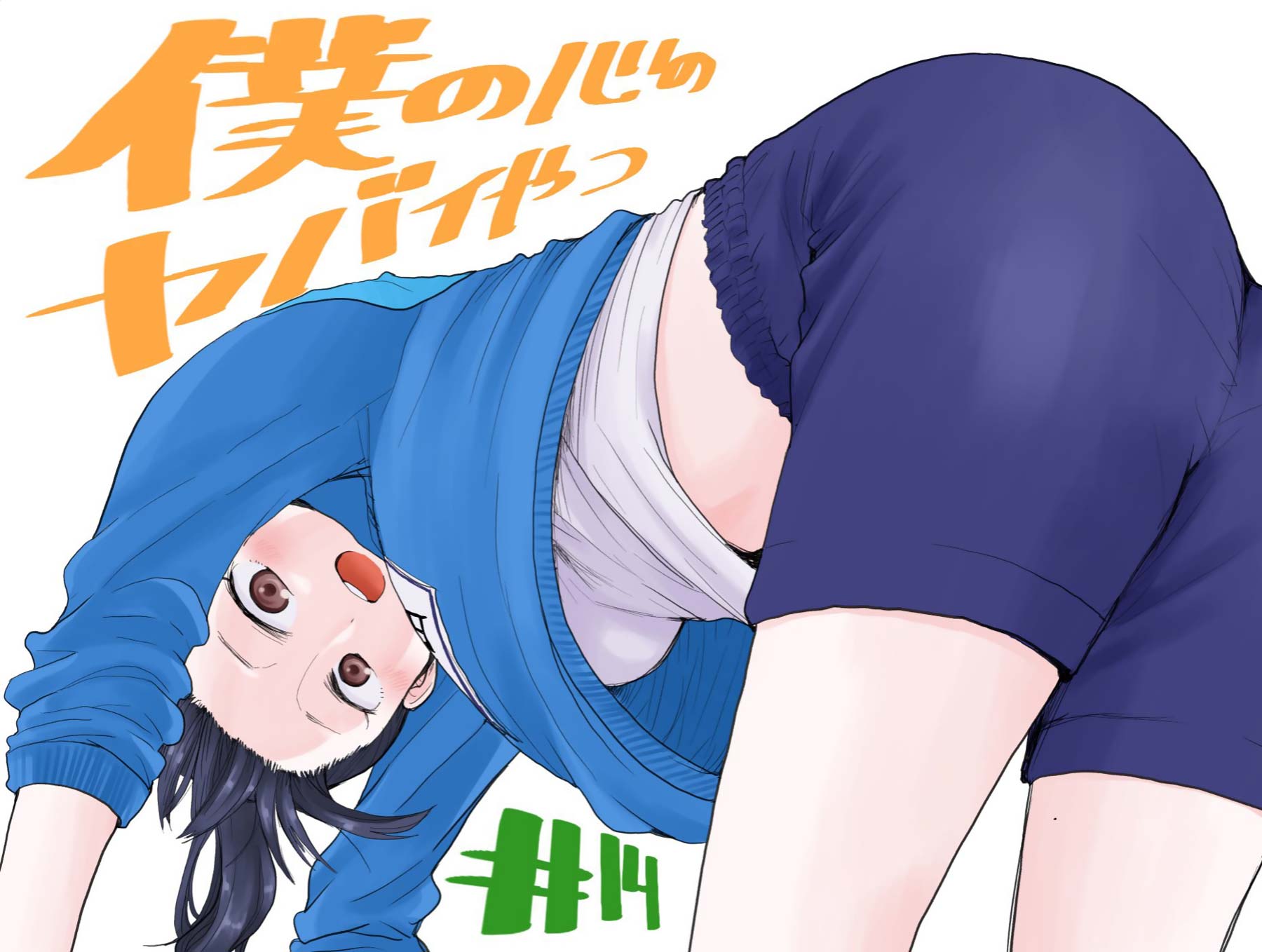 Boku no Kokoro no Yabai Yatsu