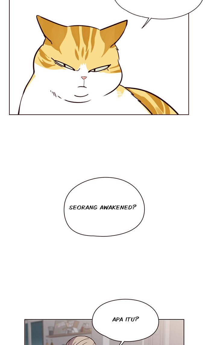 Eleceed