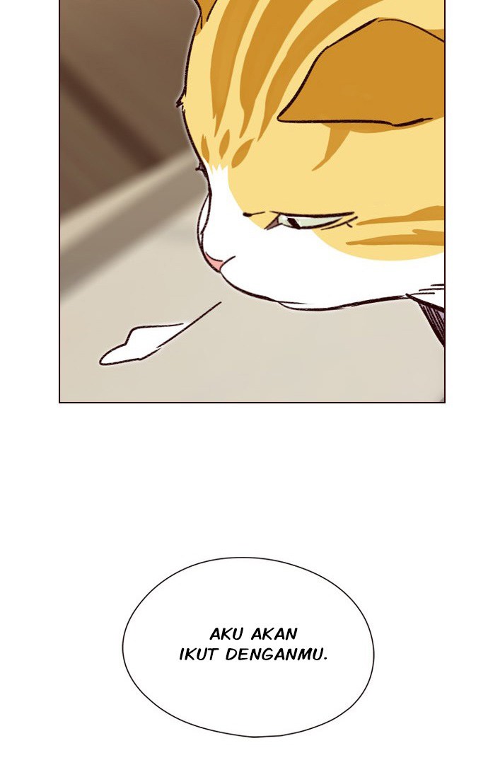 Eleceed