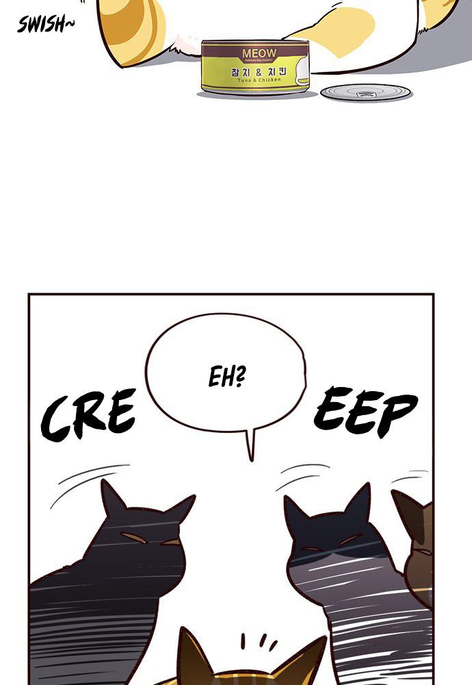 Eleceed