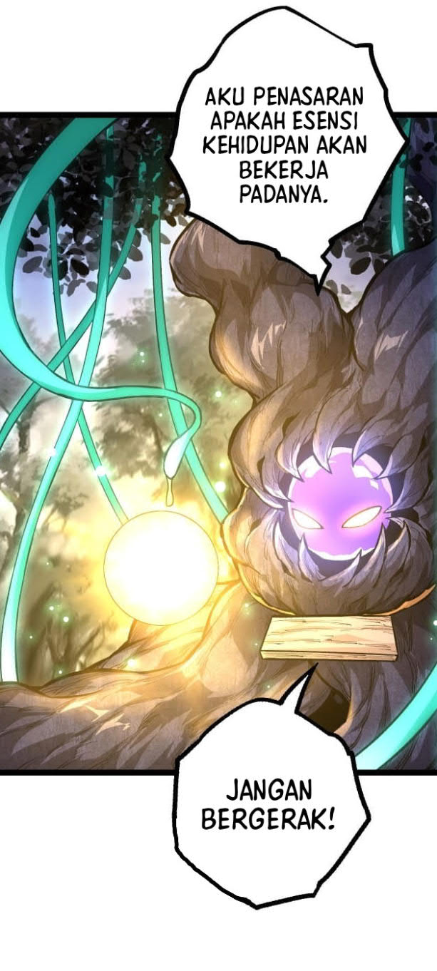 Evolution Begins With A Big Tree