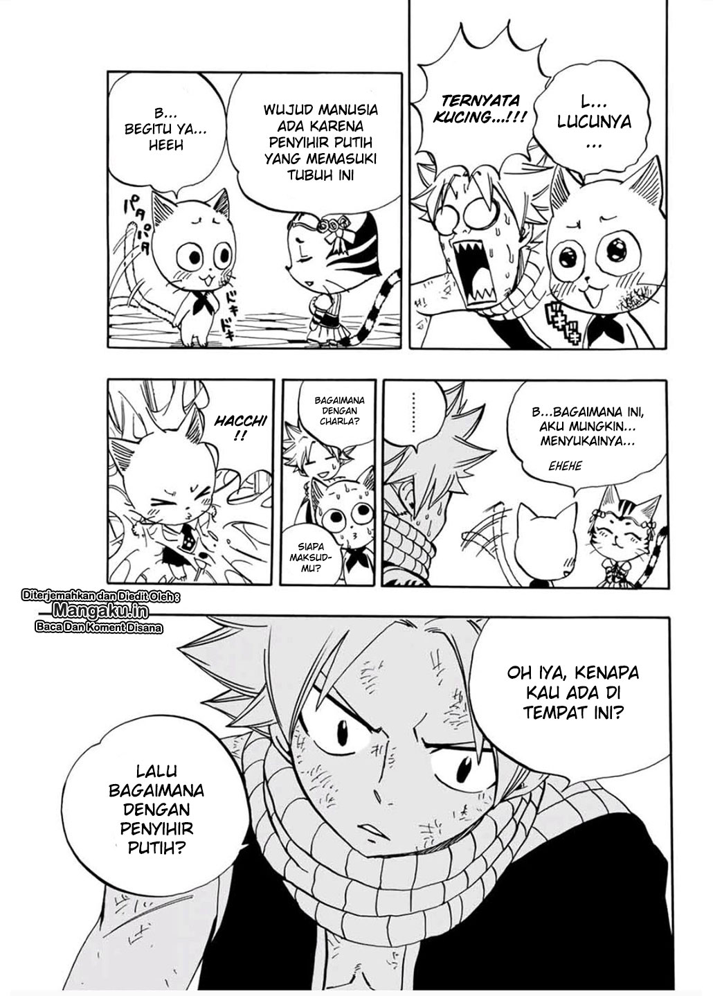 Fairy Tail: 100 Years Quest
