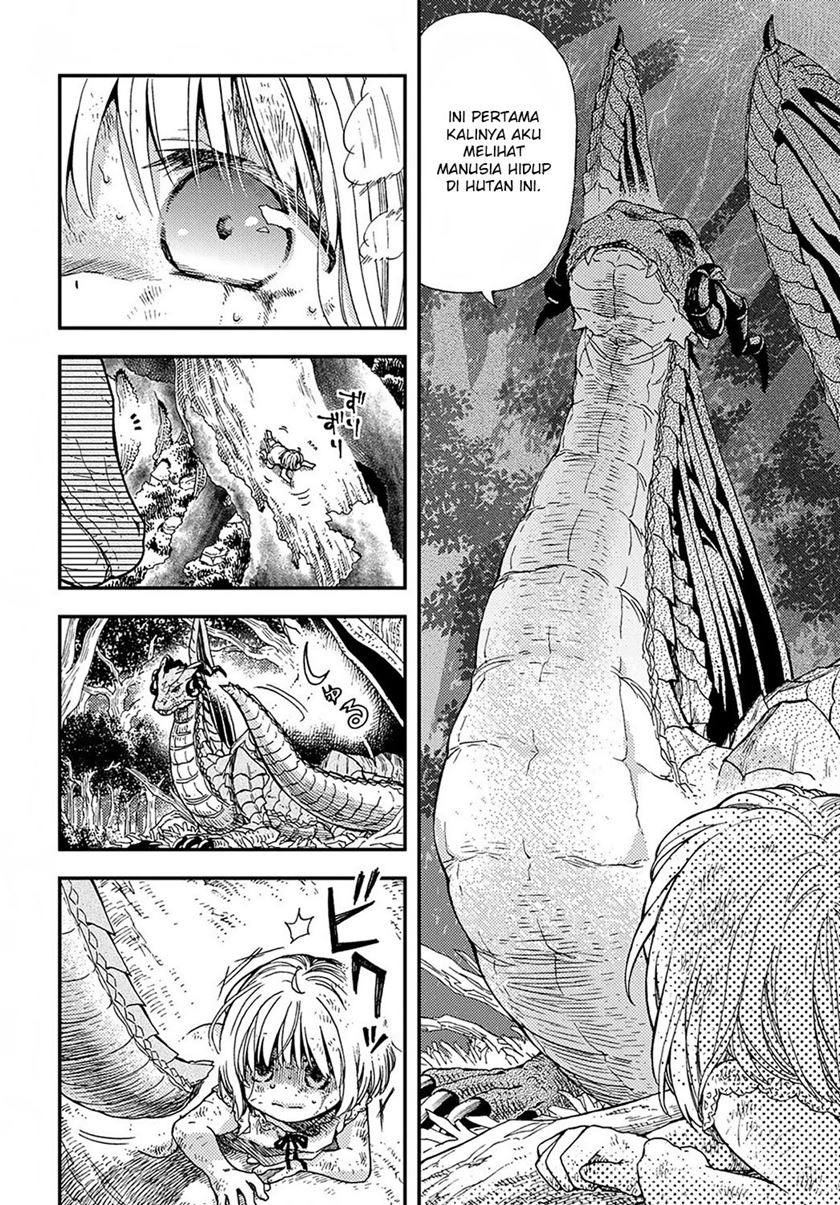 Hone Dragon no Mana Musume