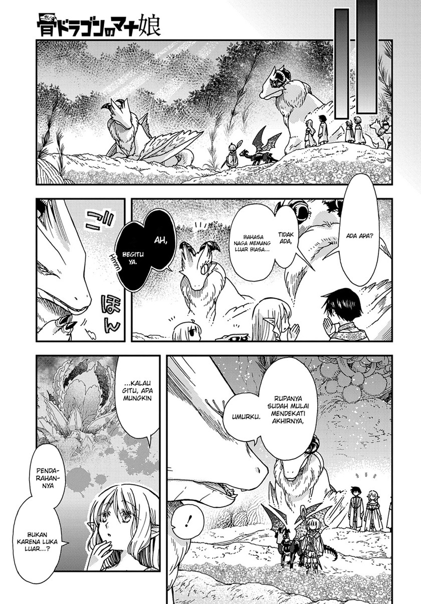Hone Dragon no Mana Musume