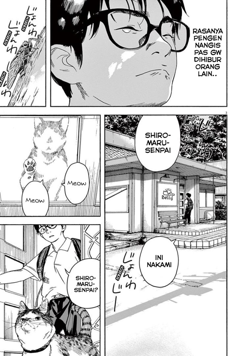 Insomniacs After School (Kimi wa Houkago Insomnia)