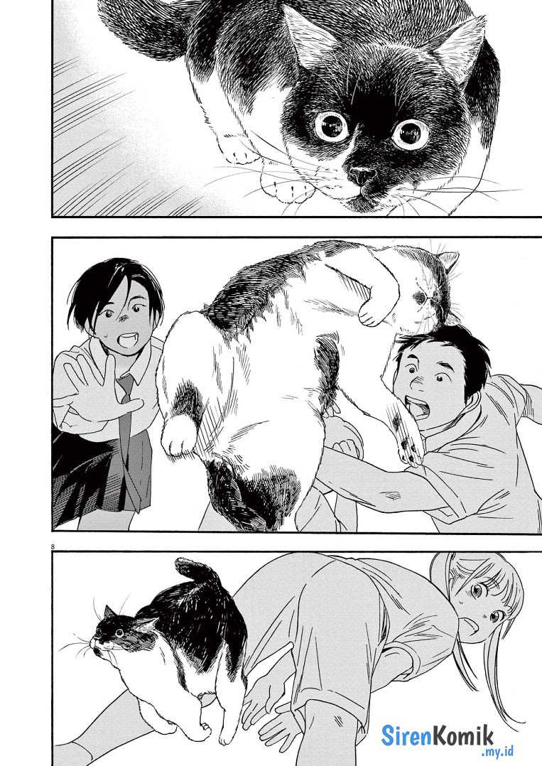Insomniacs After School (Kimi wa Houkago Insomnia)