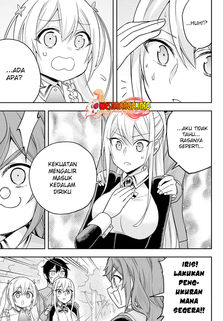 Jitsu wa Ore, Saikyou deshita?