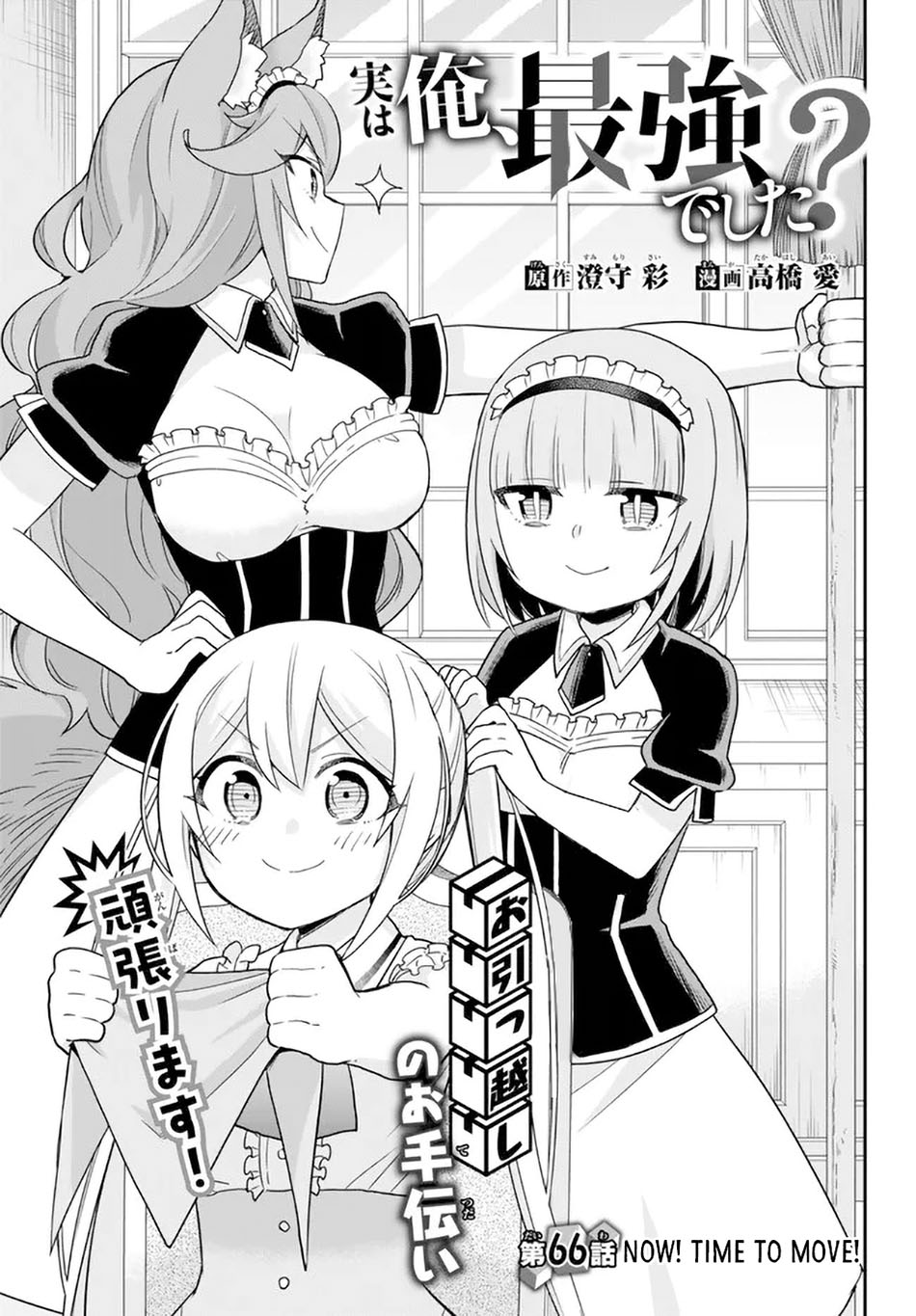 Jitsu wa Ore, Saikyou deshita?