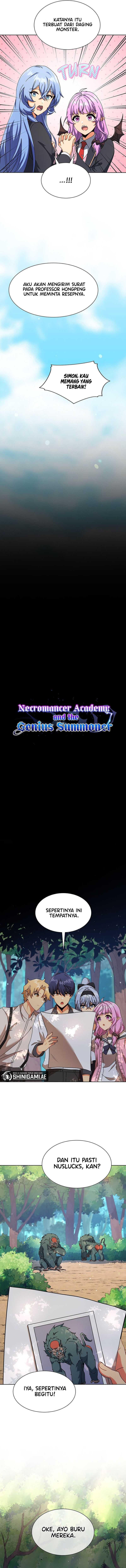 Necromancer Academy’s Genius Summoner