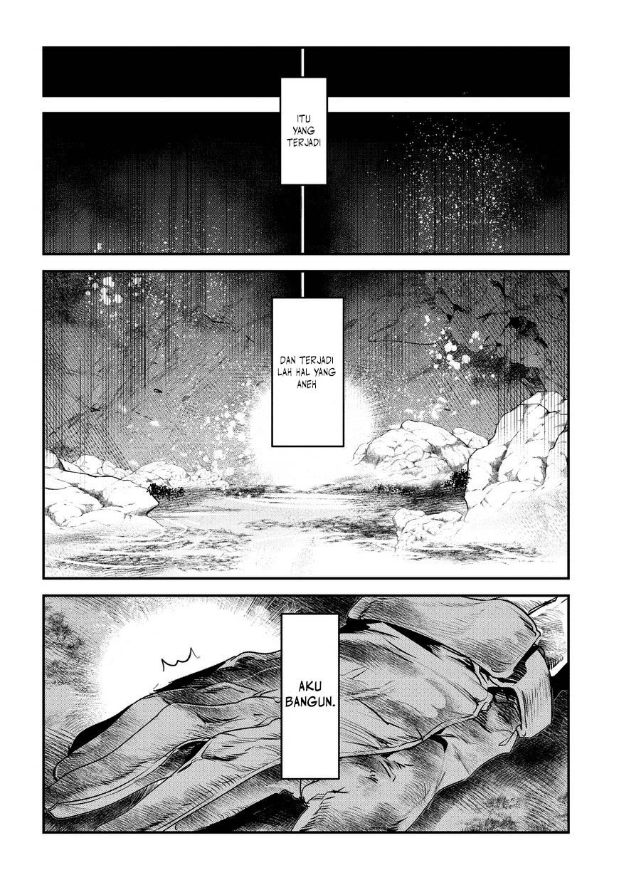 Nozomanu Fushi no Boukensha