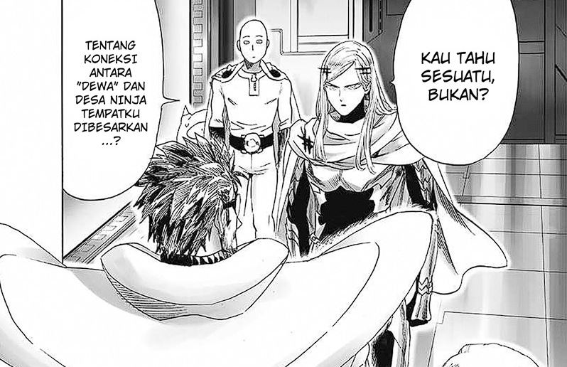 One Punch Man Chapter 246