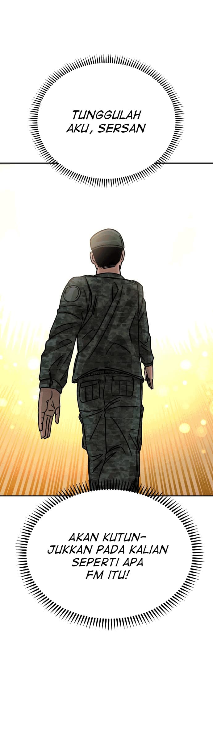 Reincarnation Of The Veteran Soldier