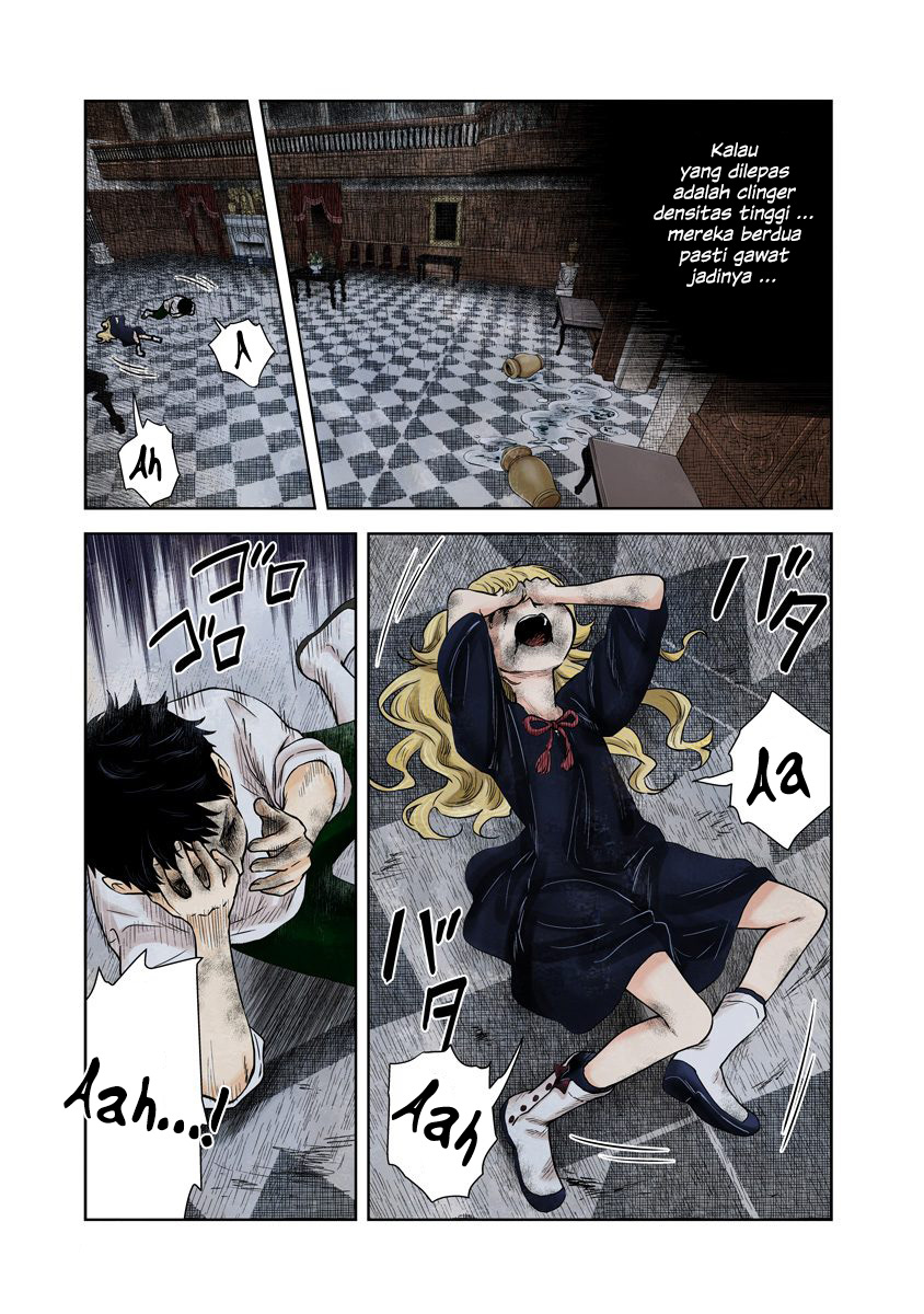 Shadows House
