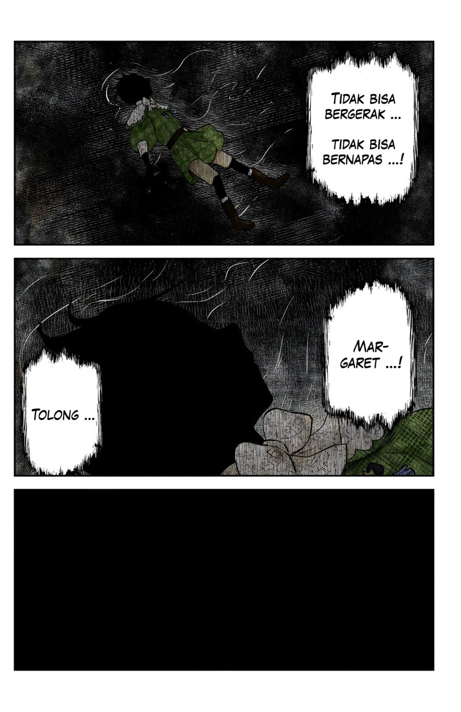 Shadows House