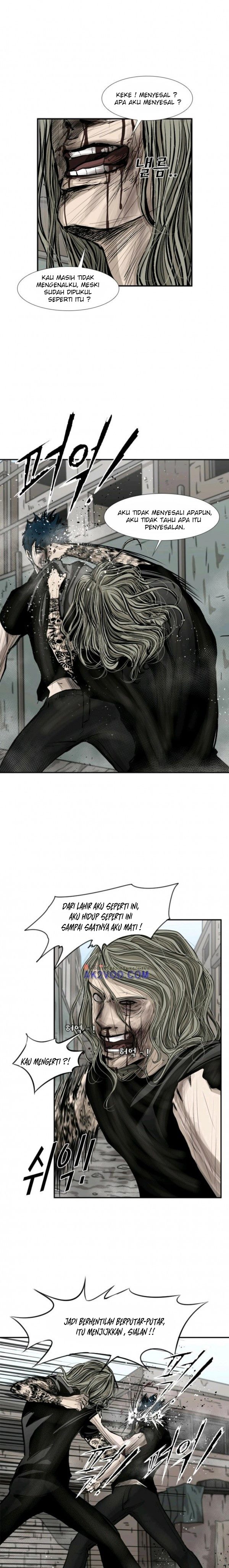 Shark