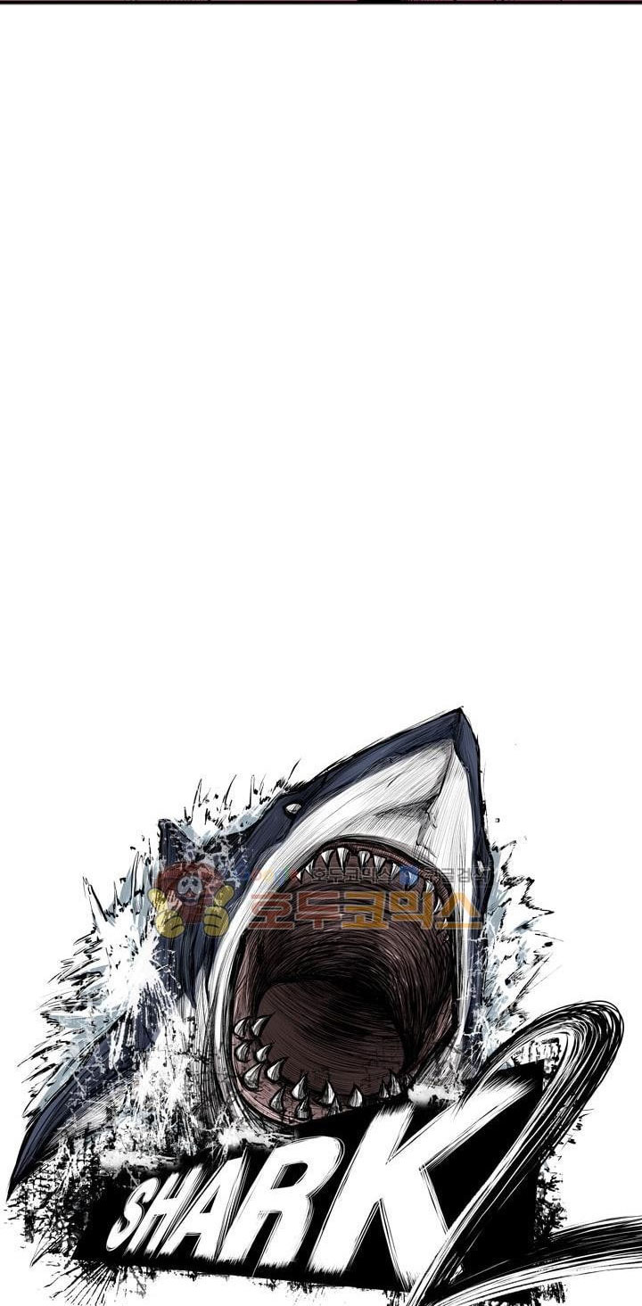 Shark