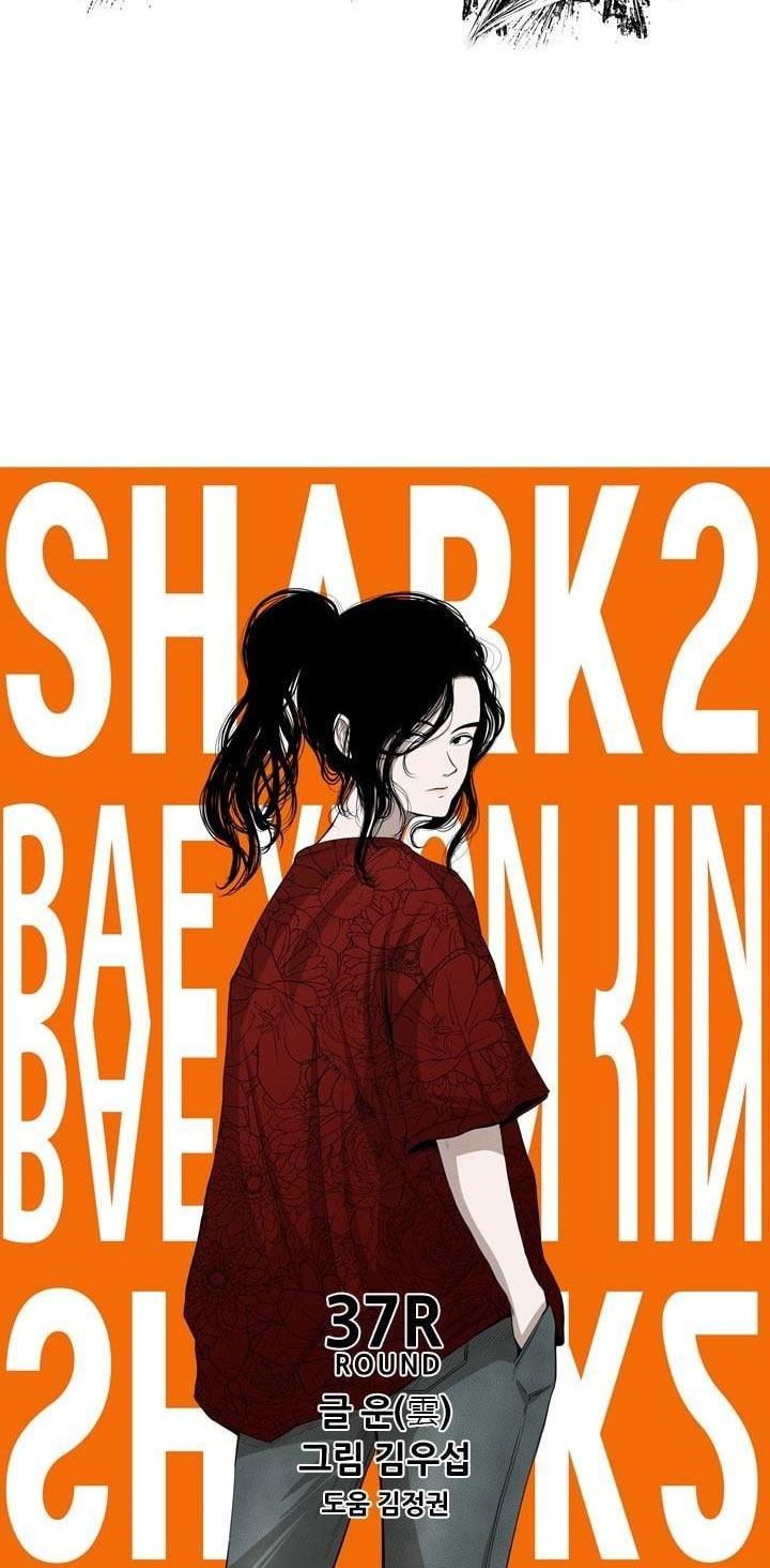 Shark