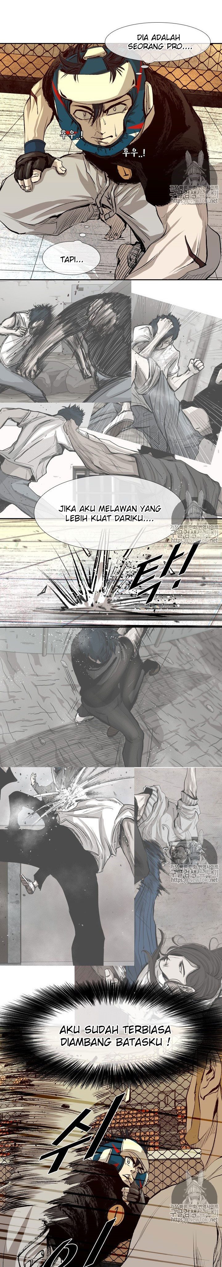 Shark
