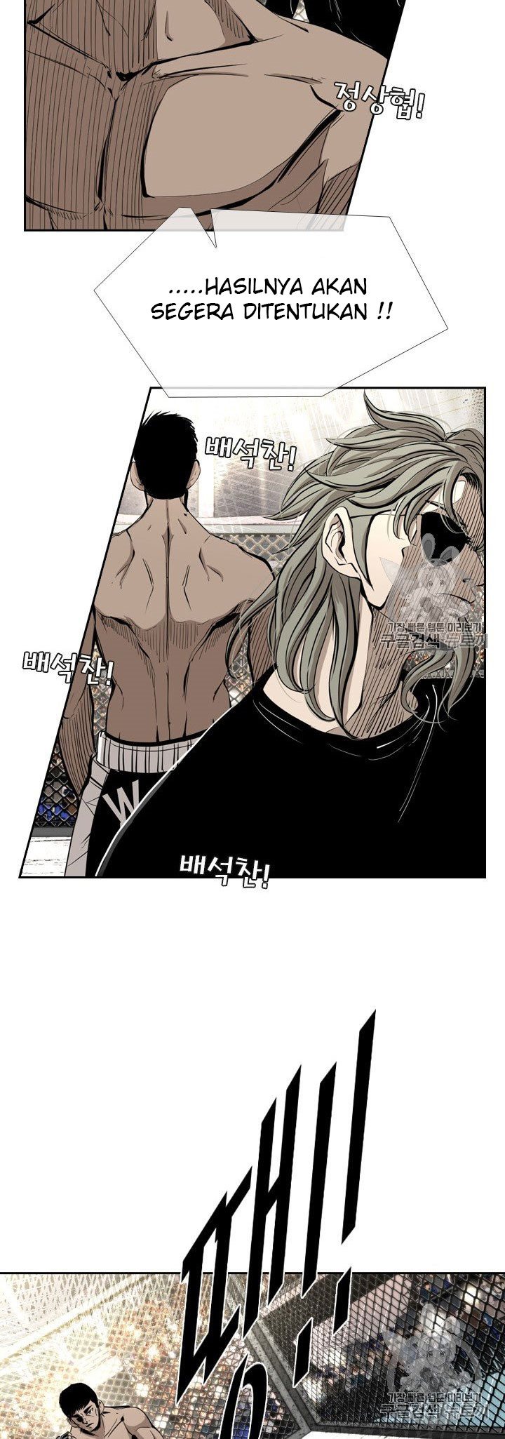 Shark