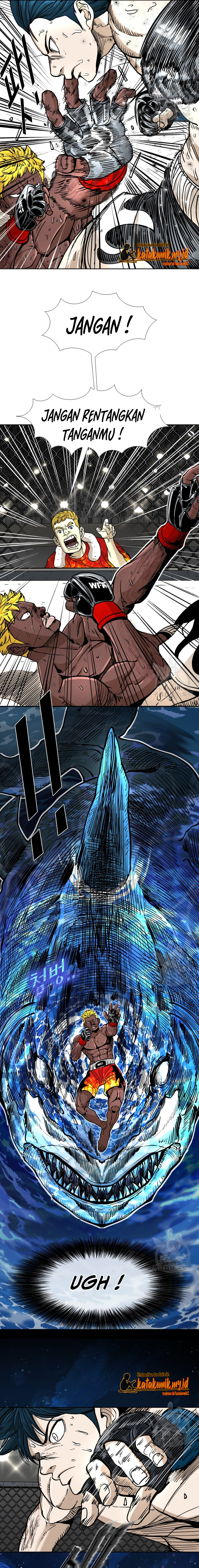 Shark