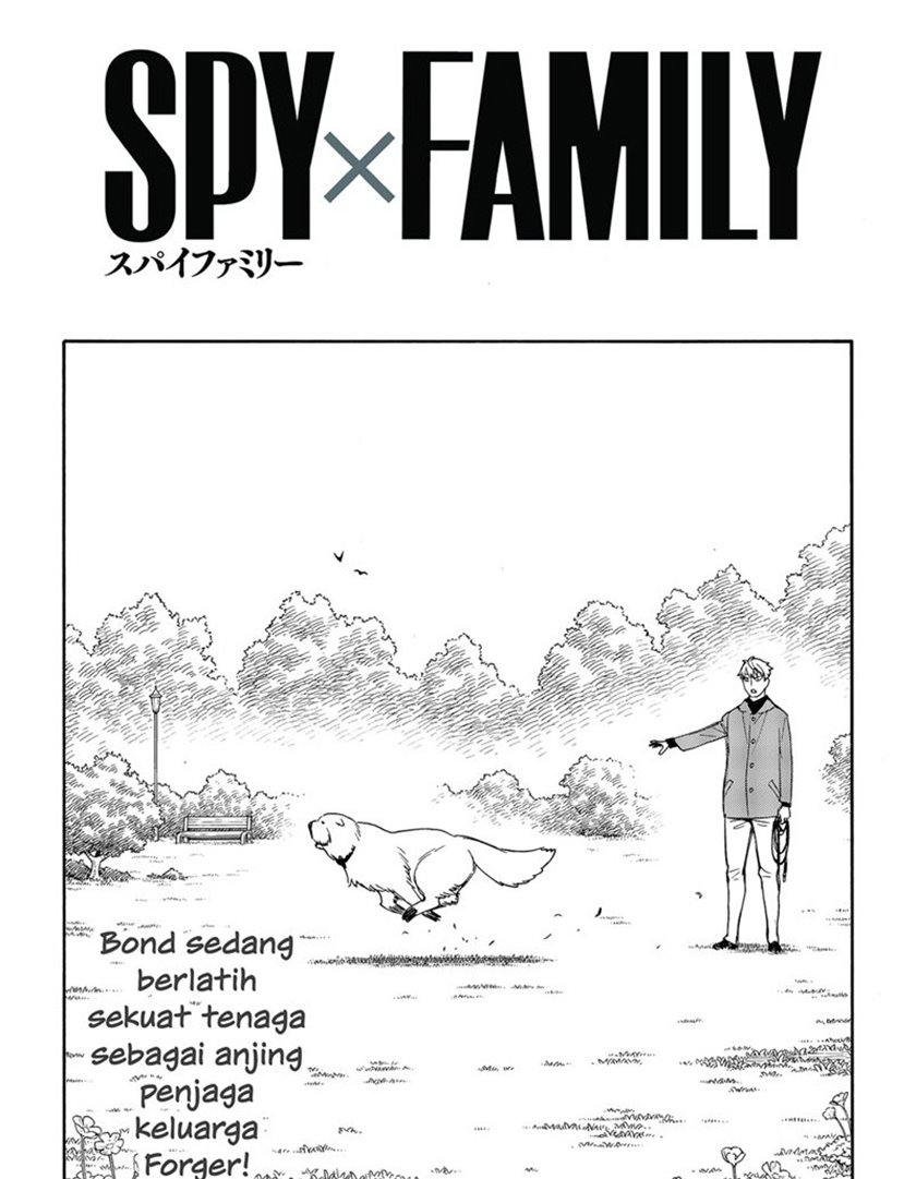 Spy X Family