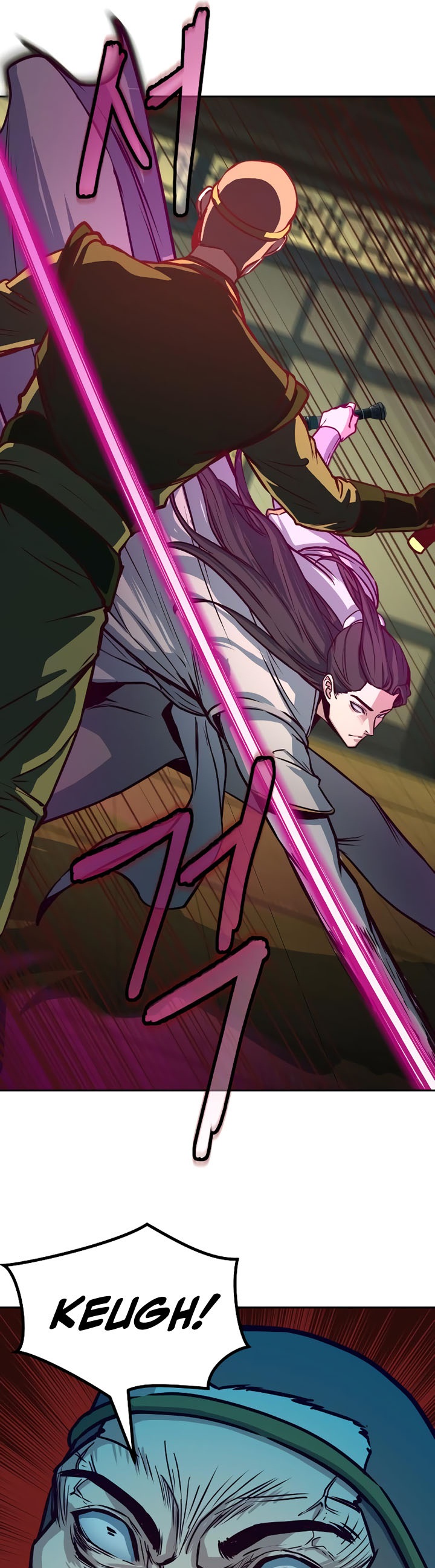Sword Fanatic Wanders Through The Night