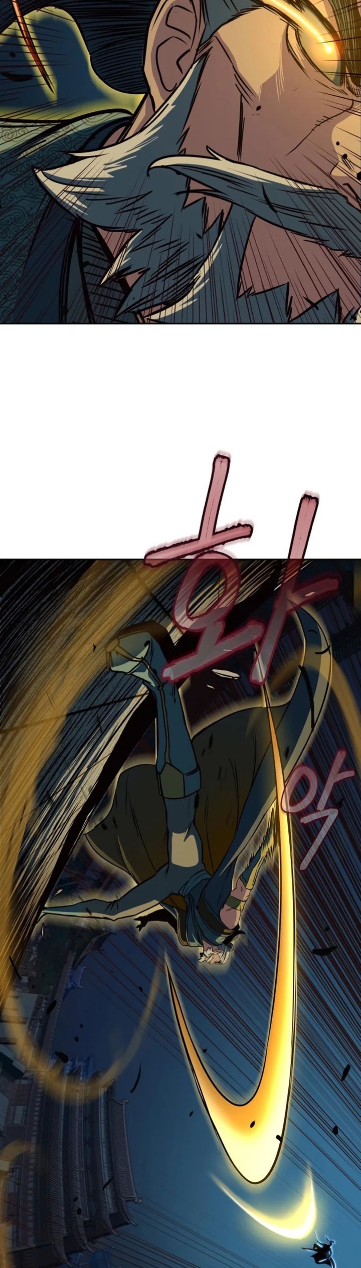 Sword Fanatic Wanders Through The Night