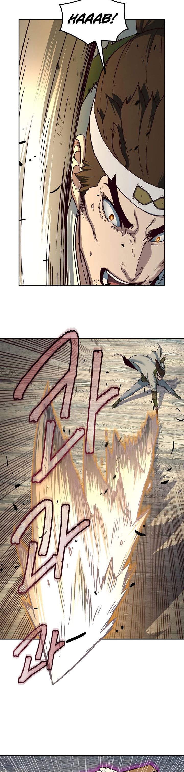 Sword Fanatic Wanders Through The Night