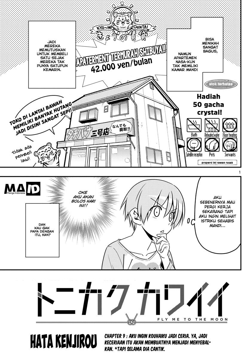 Tonikaku Kawaii