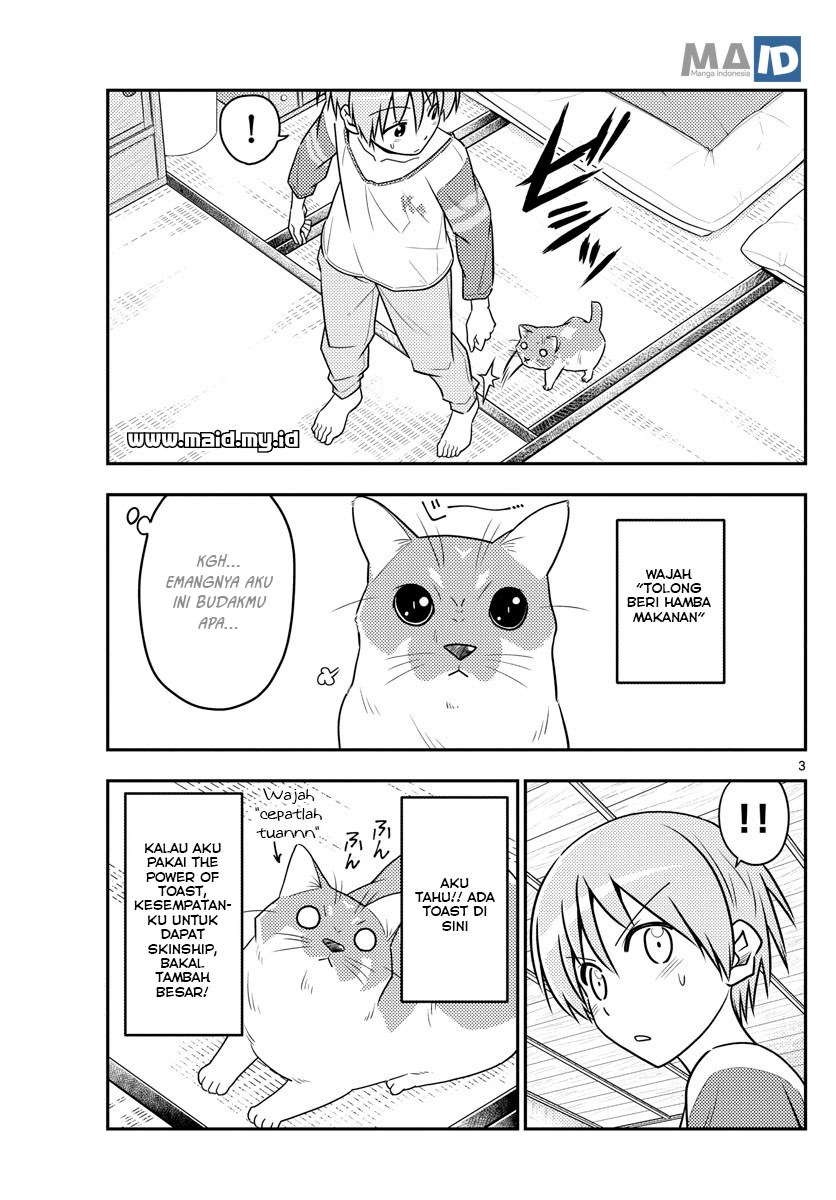Tonikaku Kawaii