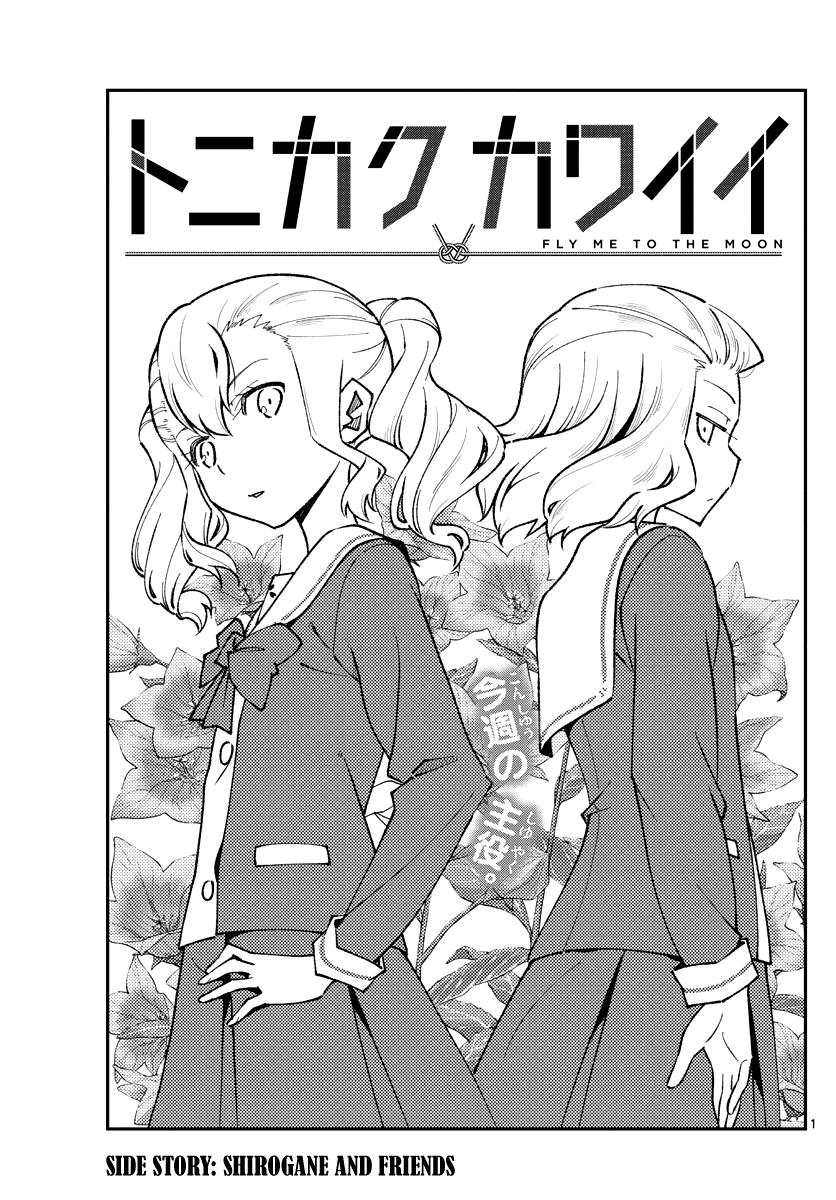 Tonikaku Kawaii