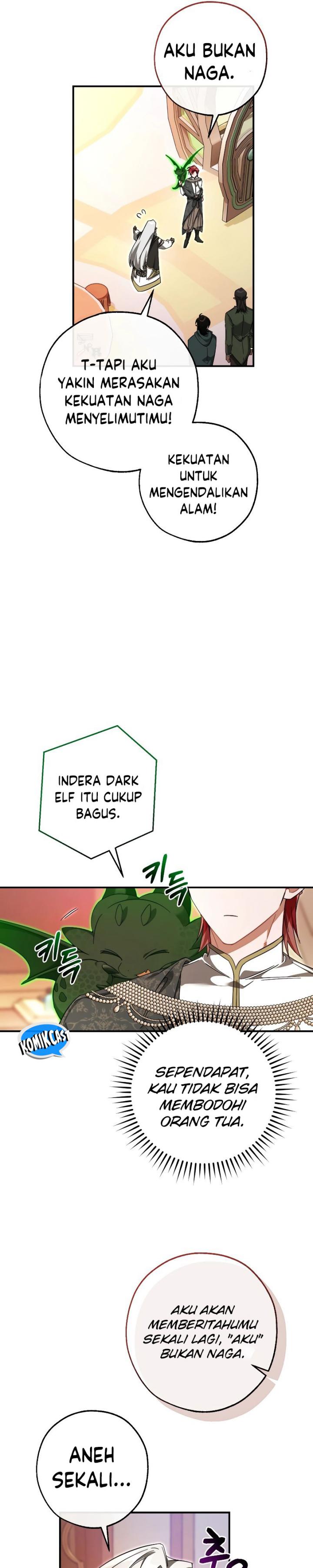 Trash of the Count’s Family