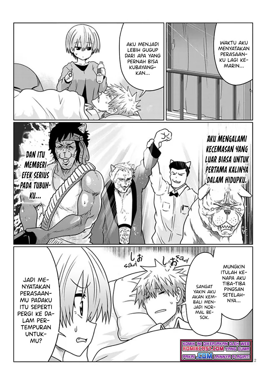 Uzaki-chan wa Asobitai!