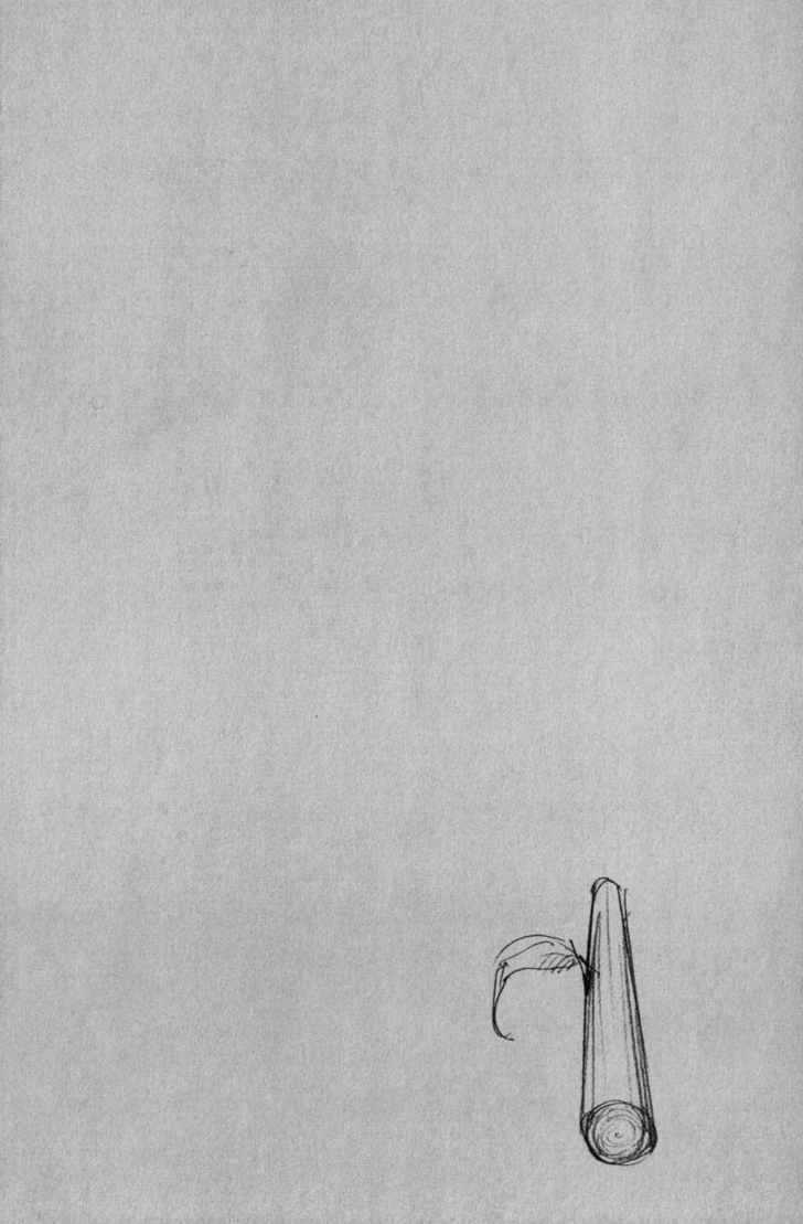 Vagabond