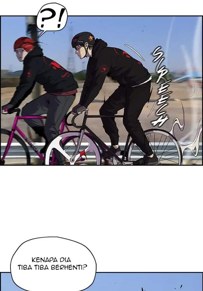 Wind Breaker