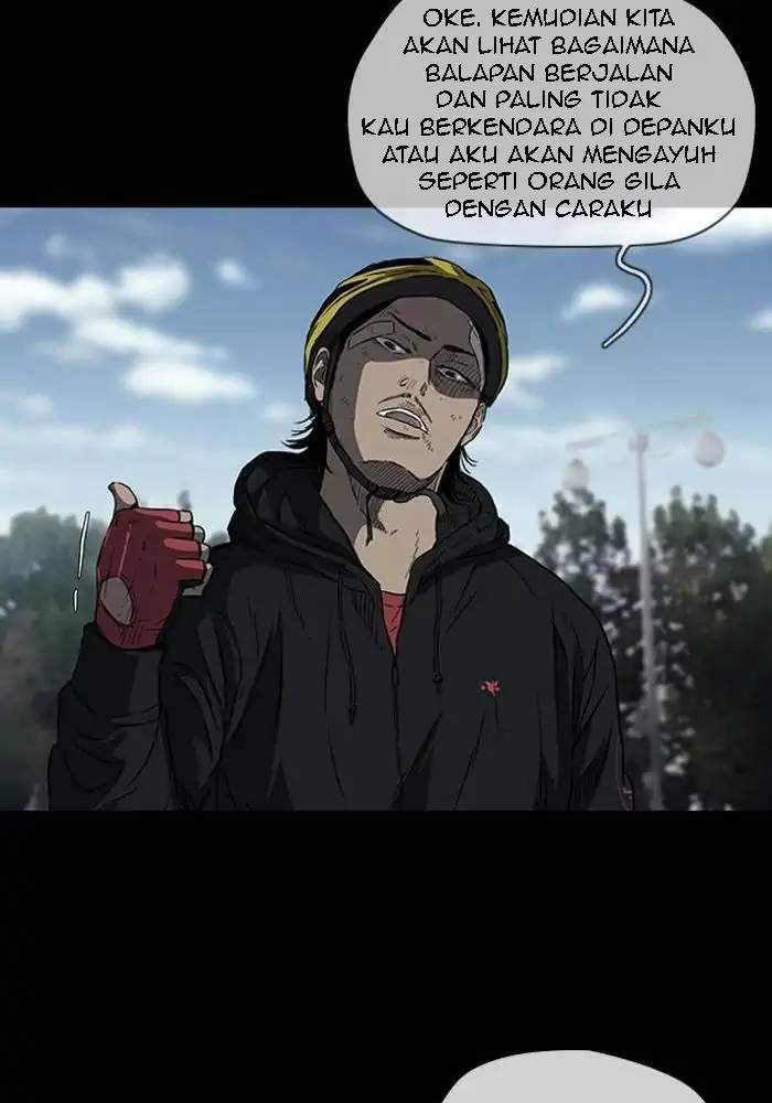 Wind Breaker
