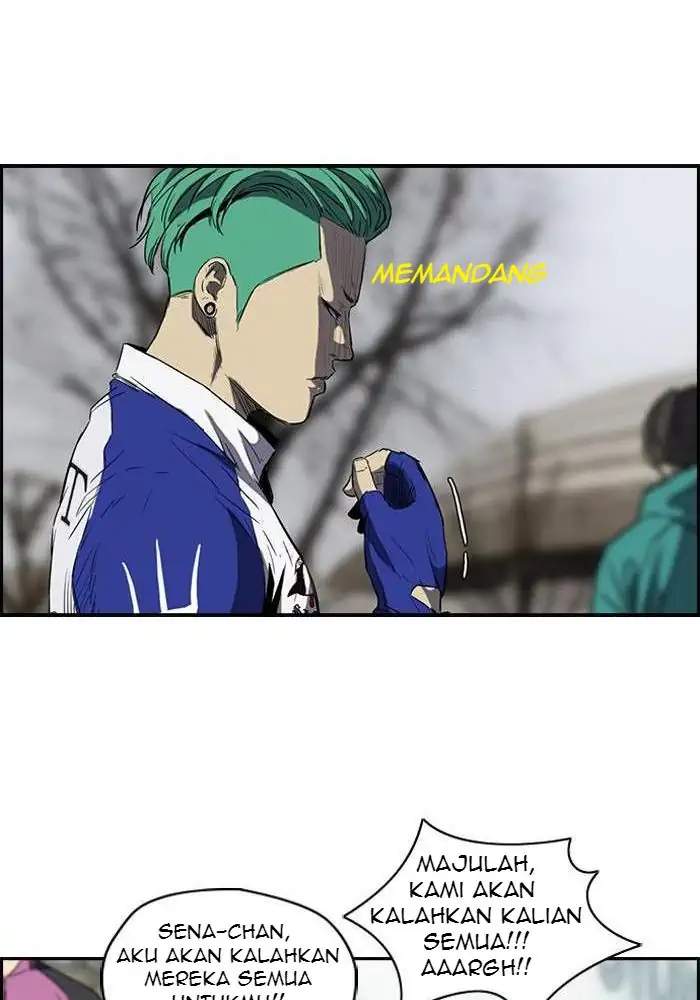 Wind Breaker
